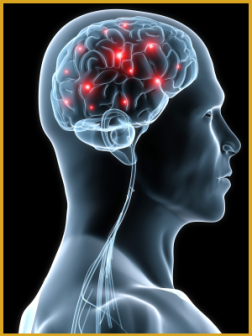 NeuroGen   Brain and Spine Institute Brain